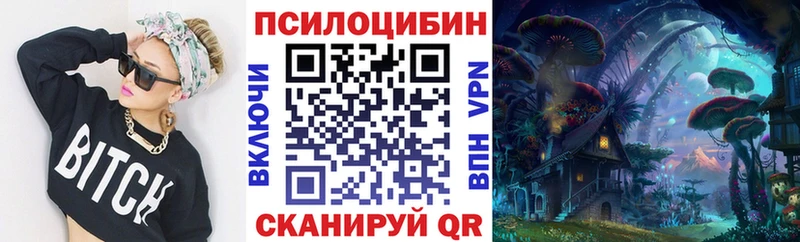 Купить  Заволжье  Псилоцибиновые грибы Magic Shrooms 